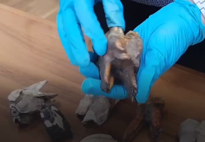 Таможенники пресекли попытку контрабанды