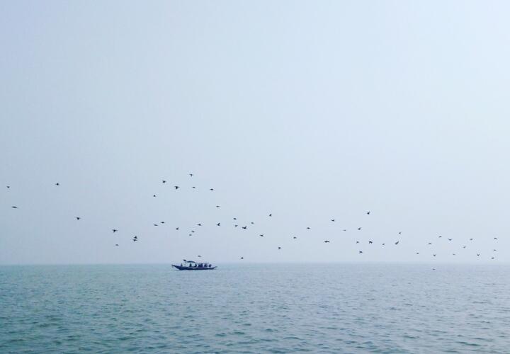 Что происходит в Новороссийске: громкие взрывы напугали людей 