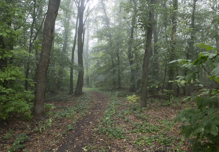 До 29 градусов: о погоде на Кубани 27 сентября рассказали синоптики