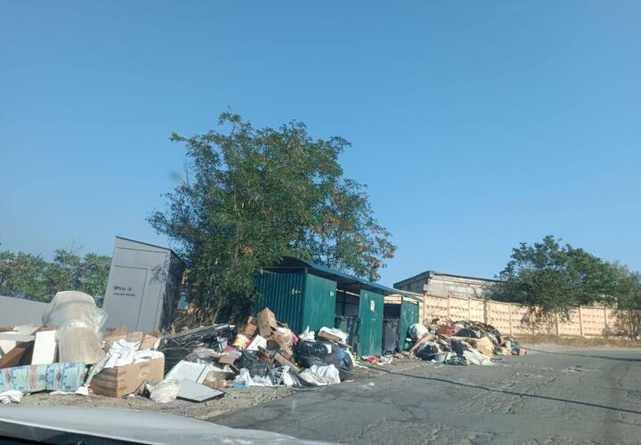 «Это не останется безнаказанным»: власти Новороссийска объявили о новых мерах по борьбе с мусорными свалками