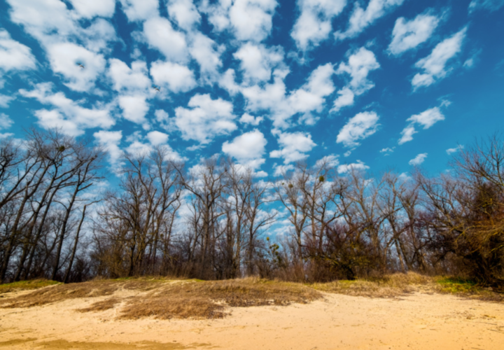 Из заложенных в Генплане Краснодара более 2,5 тысяч гектаров зеленых территорий  сейчас создано лишь 50 гектаров 