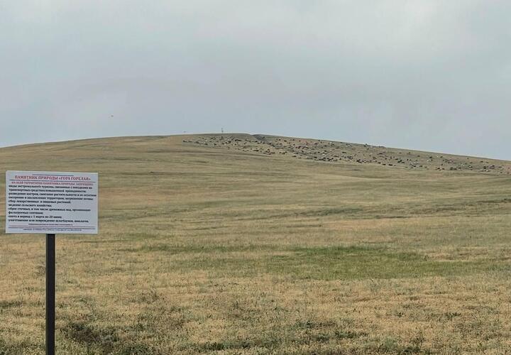 Хозяин крупного рогатого скота в Темрюкском районе стал должен государству 55 млн рублей