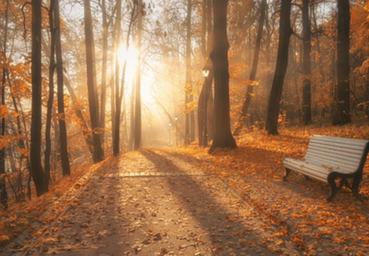 На Дональда Трампа вновь было совершено покушение, а Ростов-на-Дону задыхается от череды природных пожаров: что произошло, пока вы спали