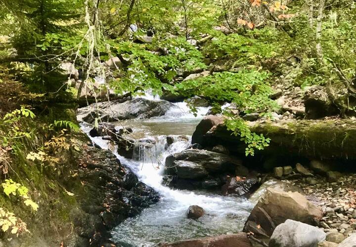 Ночью осень, днём лето: синоптики рассказали, какая погода ждёт жителей Кубани 26 сентября 
