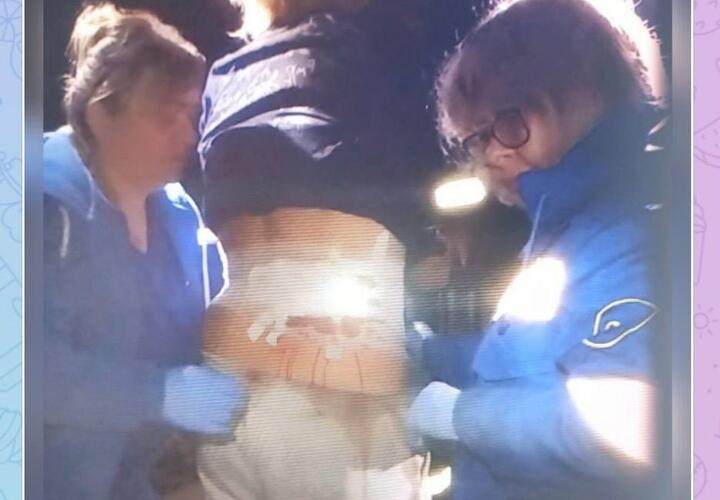 Отдых туристов в горах Туапсе закончился кровавой резнёй