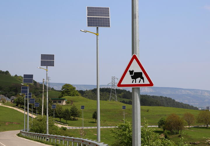 Питьевая вода и сибирская язва: суд обязал мэрию Новороссийска устранить скотомогильники
