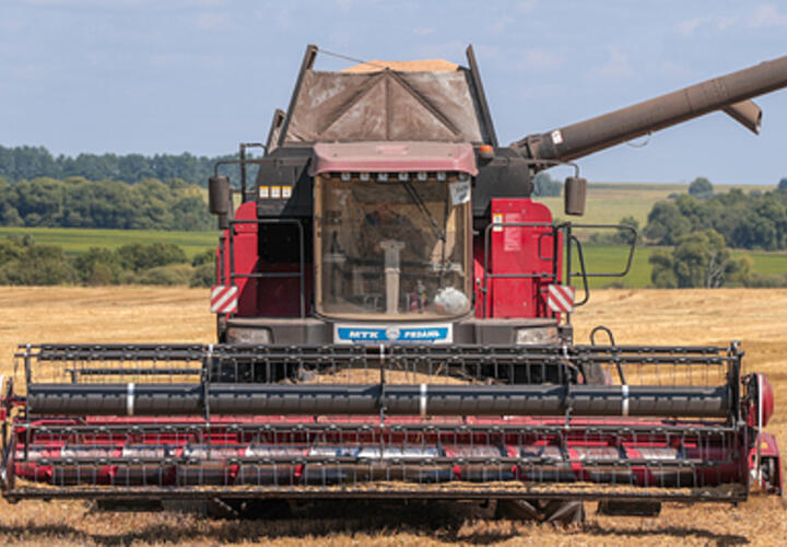 Почти 12  миллионов тонн зерна в этом году собрали аграрии Кубани