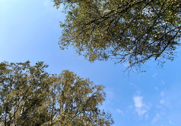 Погода на неделю с 30 сентября по 6 октября на Кубани