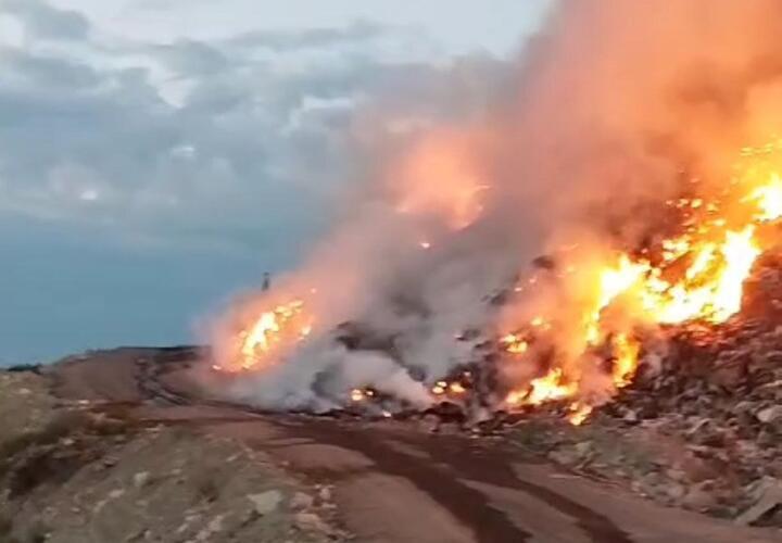 Пожар на мусорном полигоне в Новороссийске в конце августа случился из-за поджога