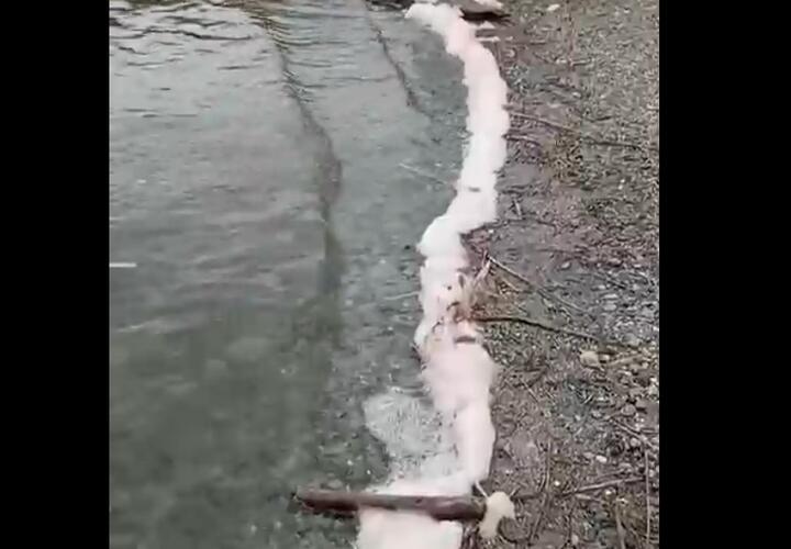 Розовая пена в море у берегов Суджукской лагуны встревожила экологов
