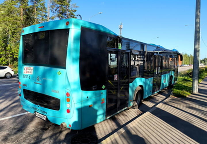 Стала известно, кто сможет ездить бесплатно на общественном транспорте в Краснодарском крае