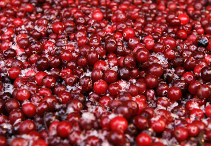 Учёные назвали самый омолаживающий напиток для людей после 40 лет