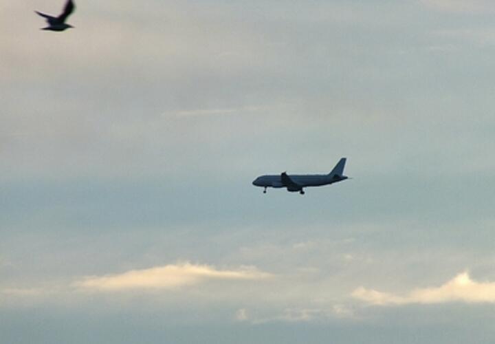 «Уральские авиалинии» подозревают в обмане пассажира из Сочи