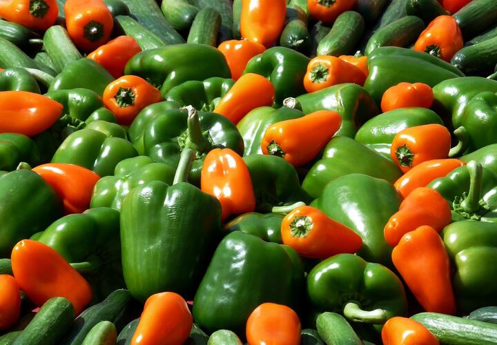 В Новороссийске задержали почти 23 тонны перцев с насекомыми