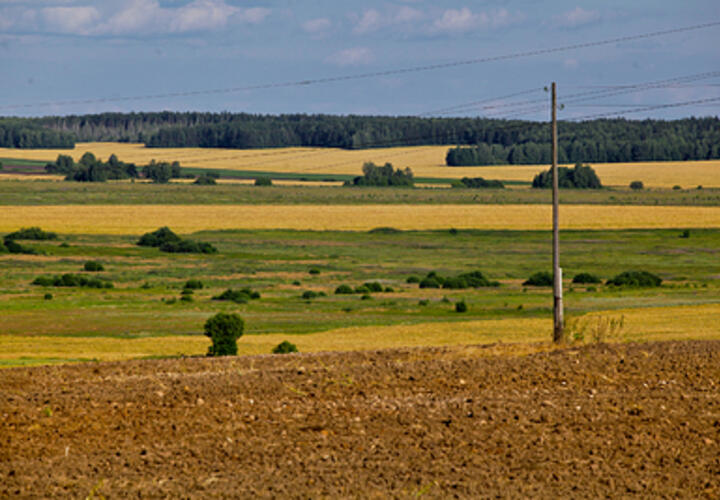 Власти Краснодара объяснили, зачем переводят земли в категорию сельхозназначения