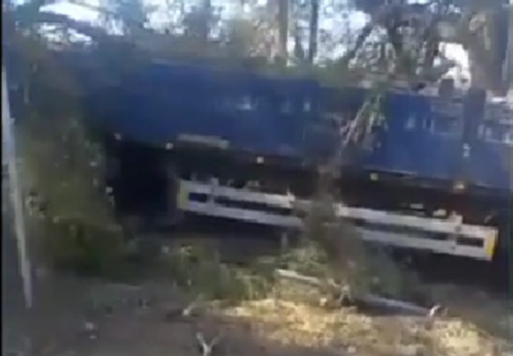 Водитель грузовика погиб в Кущёвском районе Кубани, вылетев с трассы и врезавшись в дерево