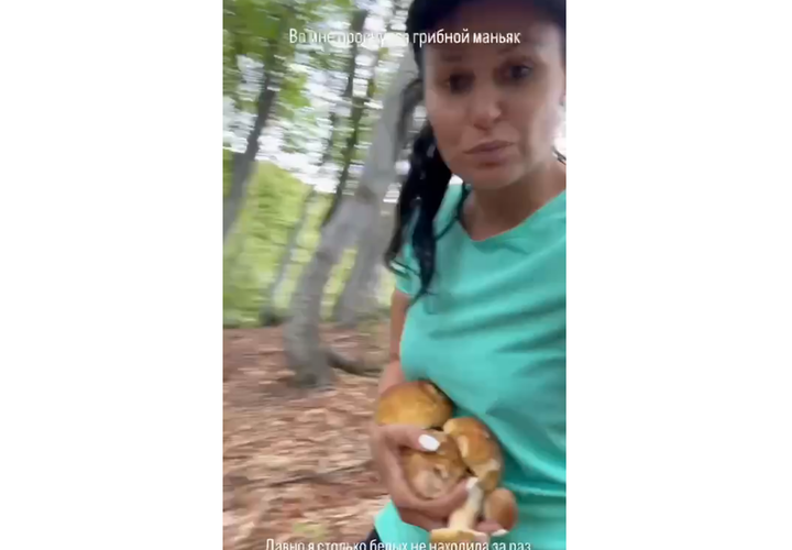 Жительница Сочи в лесу обнаружила огромную поляну белых грибов