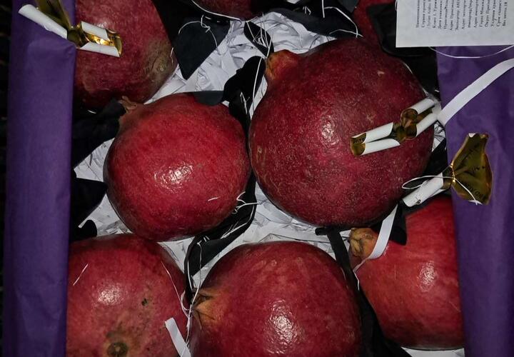 Более 18 тонн гранатов из Египта забраковали в порту Новороссийска