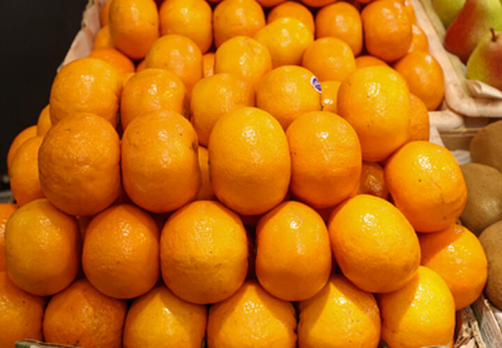 Более 22 тонн мандаринов из Турции забраковали на таможне в порту Новороссийска