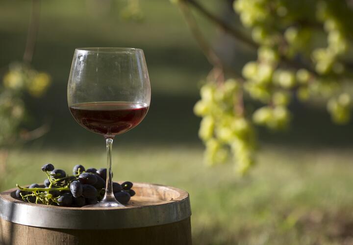 «Гравитационное» вино и подземные галереи: энотуристы массово едут на Кубань