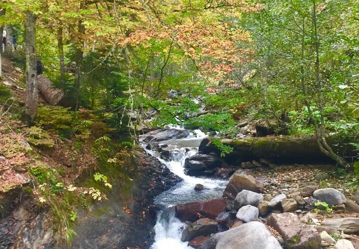 И снова солнечно и тепло: синоптики рассказали, какая погода ждёт кубанцев в пятницу,4 октября
