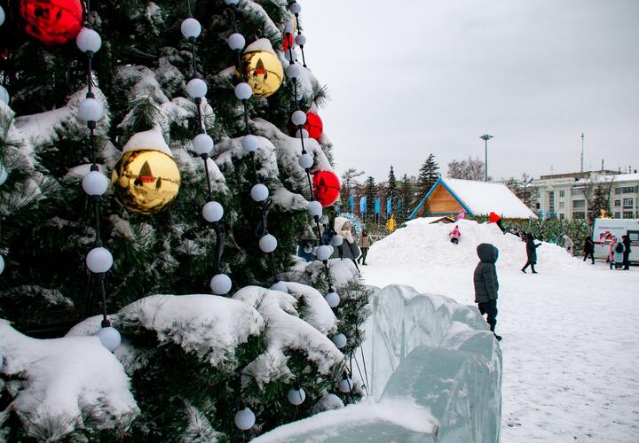 Самыми популярными курортами стали Сочи и Анапа