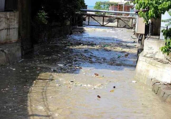 Лошадь не моя: власти Сочи упорно отказываются оплачивать ущерб природе из-за действий местного МУП Водоканал