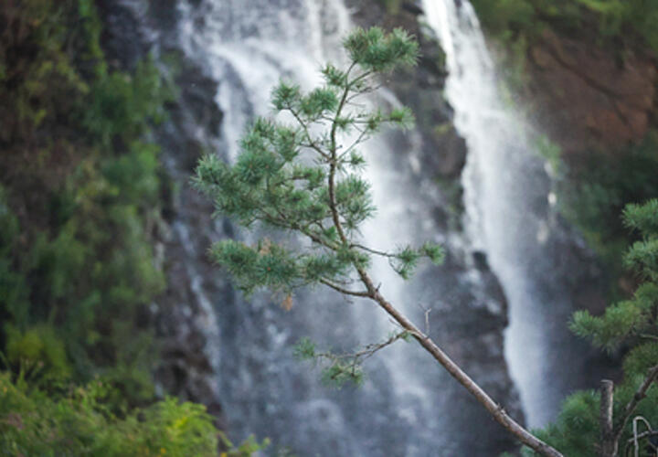 В этом году в список включены 15 популярных направлений