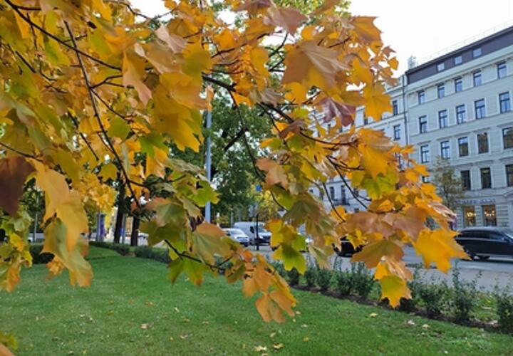 Осень пришла: на Кубани сегодня прохладно, в отдельных районах ожидается град