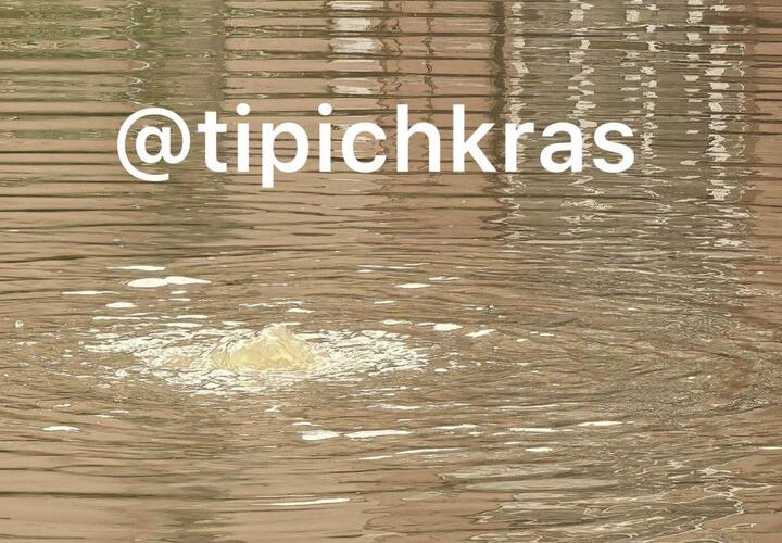 Подводный фонтан затопил улицу Мусоргского в Краснодаре