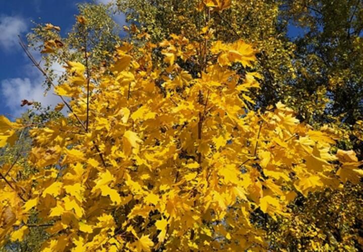  Потепление и туманы: синоптики рассказали о погоде на Кубани 23 октября