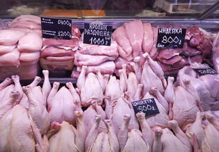 Врач рассказала, какую часть курицы лучше не употреблять в пищу