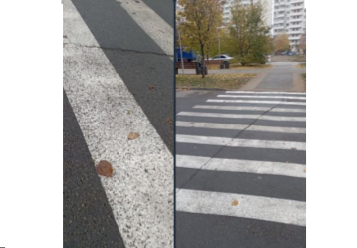 Депутат Гордумы Краснодара советует «не смотреть в зубы дареному коню» 