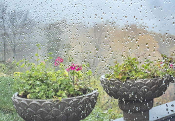 Дожди накроют Кубань: какой будет погода сегодня, 19 ноября, рассказали метеорологи 