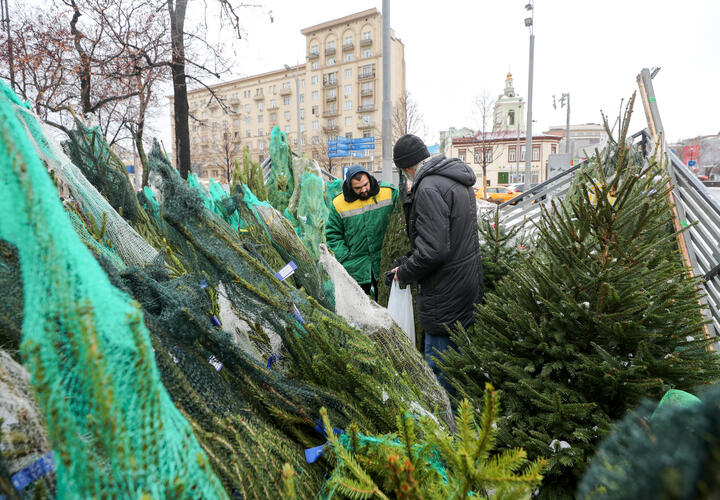 Где и когда откроется первая ёлочная ярмарка в Краснодаре, рассказали в мэрии