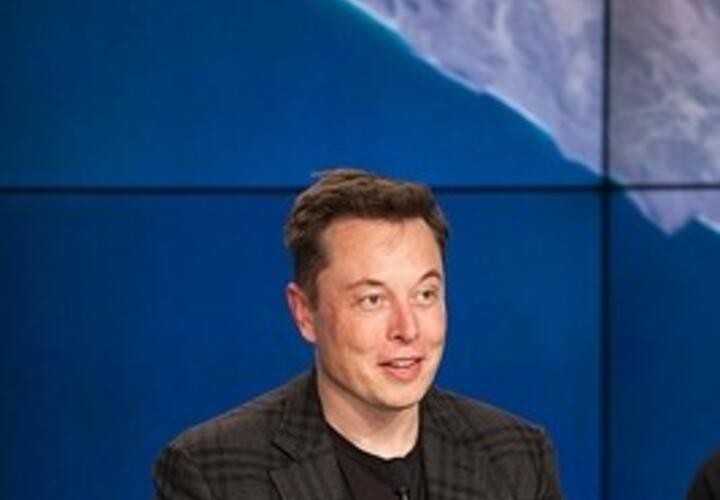 Илон Маск может стать кубанским казаком