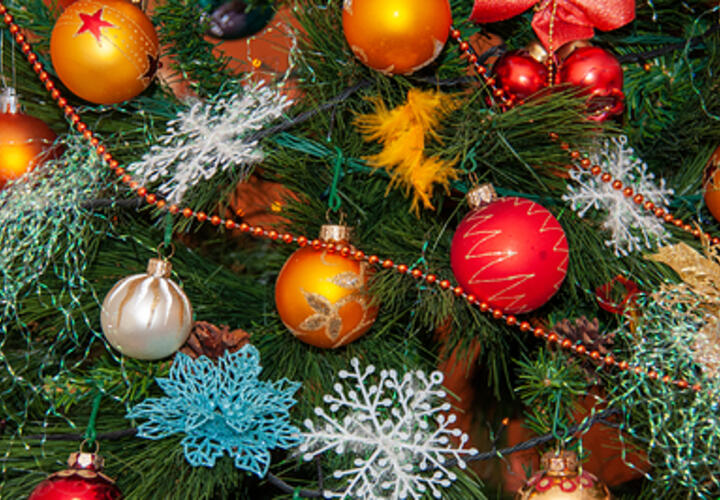 Как правильно проводить год Дракона и встретить год Змеи 