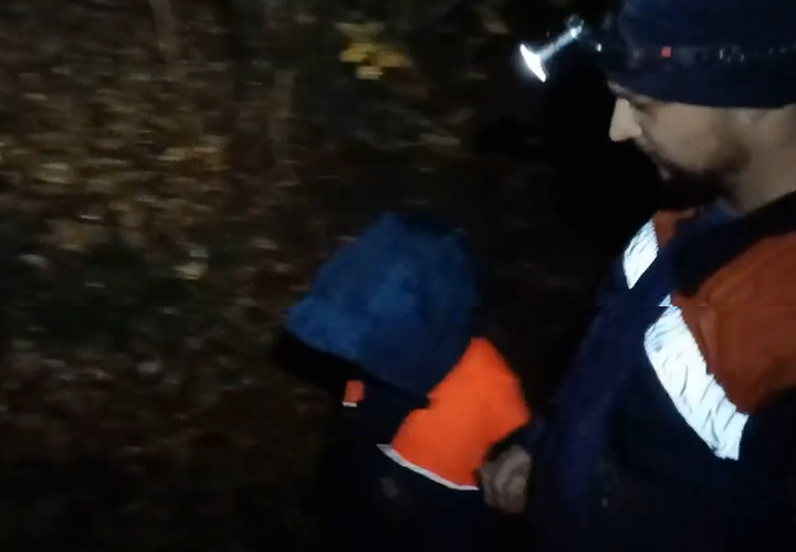 На Кубани семья с ребенком заблудилась в ночном лесу