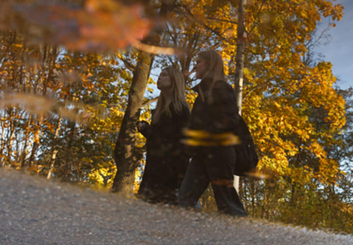 Погода на неделю с 11 по 17 ноября на Кубани