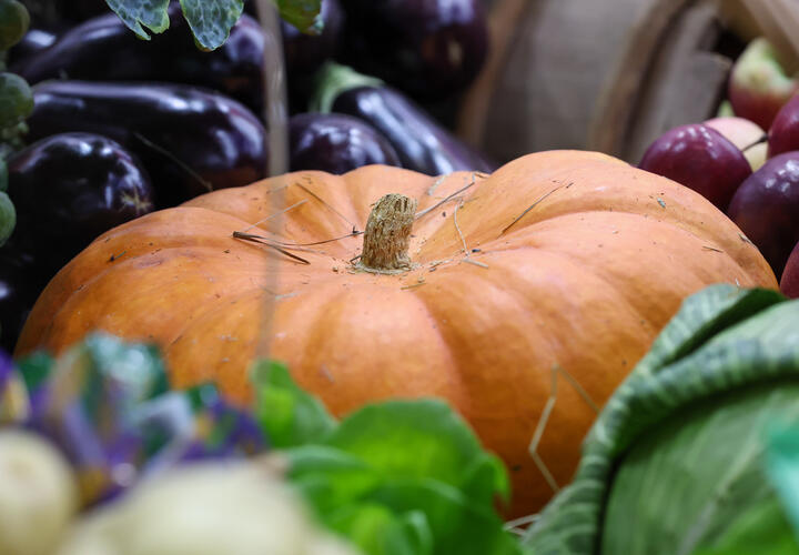 Полезна для зрения: кому можно и нельзя есть тыкву