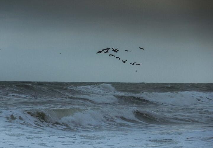 Режим «Повышенная готовность» введен в Новороссийске сроком на 4 суток из-за надвигающейся бури