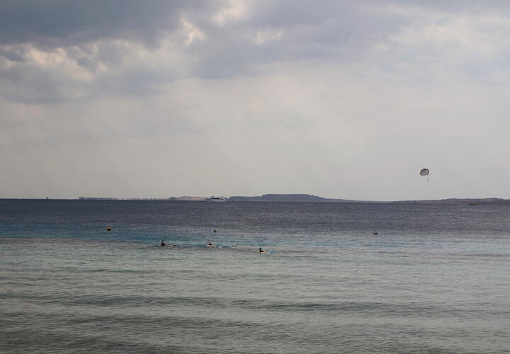 Судно под флагом Панамы нанесло серьёзный ущерб Чёрному морю в порту Новороссийска