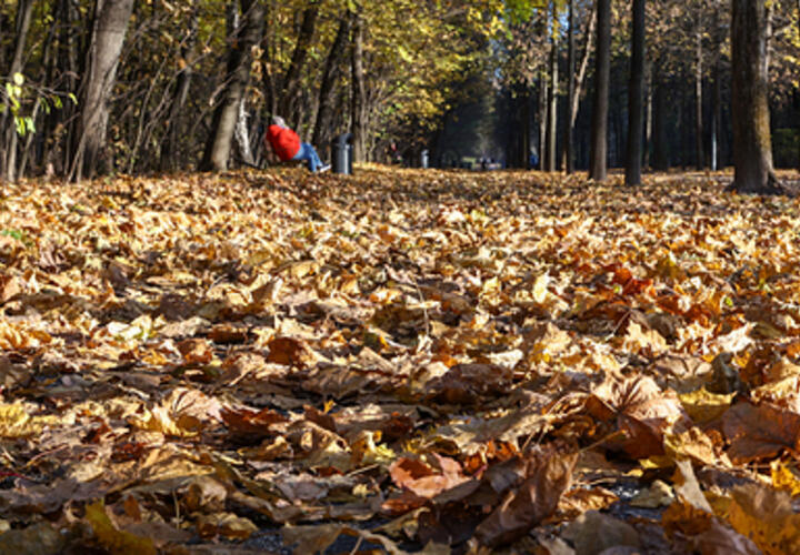 Тепло, но ветрено: синоптики рассказали, какая погода ждёт кубанцев в среду, 20 ноября