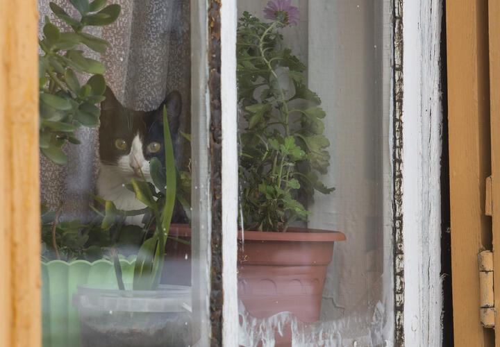 Утром туман и гололёд: о погоде на Кубани 18 ноября рассказали синоптики