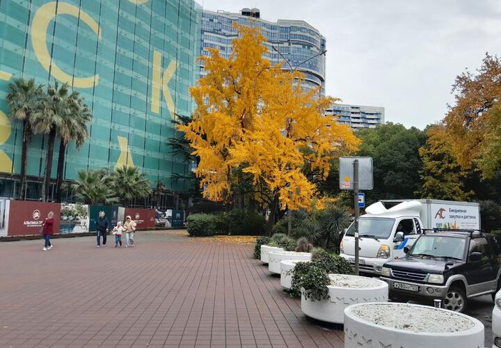  Ветрено, но все еще тепло: синоптики рассказали о погоде на Кубани 23 ноября