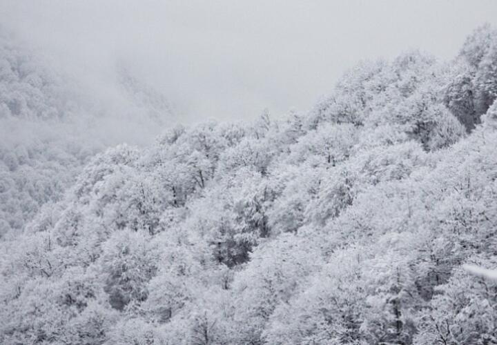 Альтернативная одаренность: множество машин безнадежно застряли на летней резине в горах Сочи
