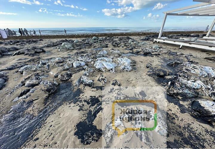 Местные с тревогой думают о будущем