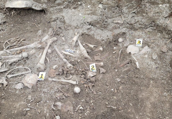 Братскую могилу нашли под Новороссийском