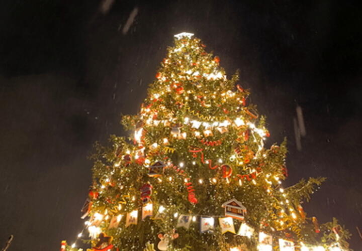 Будет ли снег на Новый год в Краснодаре, рассказали синоптики