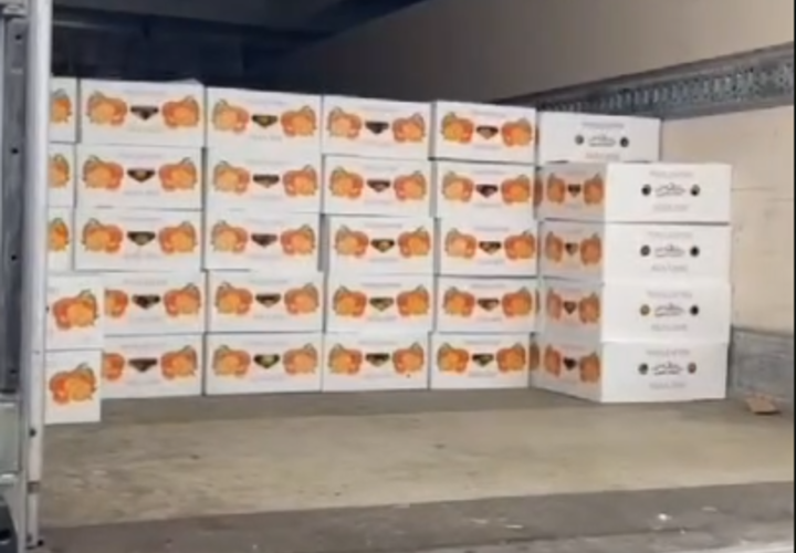 Депутат ЗСК Арменак Тозлян отправил в ДНР из Сочи 9 тонн мандаринов